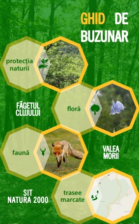 Cover of Ghid de buzunar - Sit Natura 2000 Făgetul Clujului-Valea Morii